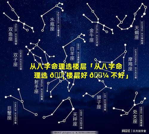 从八字命理选楼层「从八字命理选 🐦 楼层好 🌼 不好」
